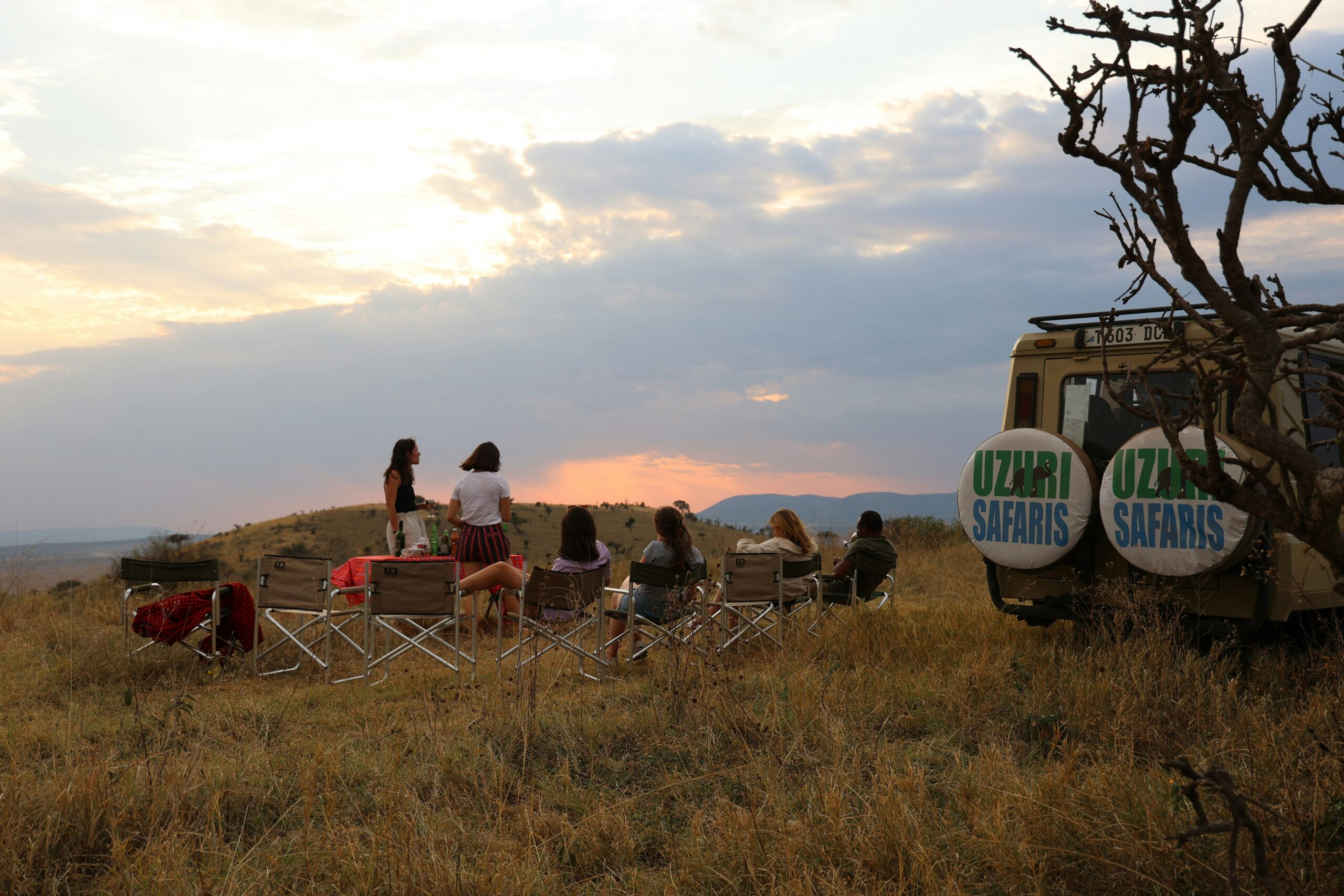 How to Choose a Safari Lodge: 5 Essential Tips for an Unforgettable Adventure